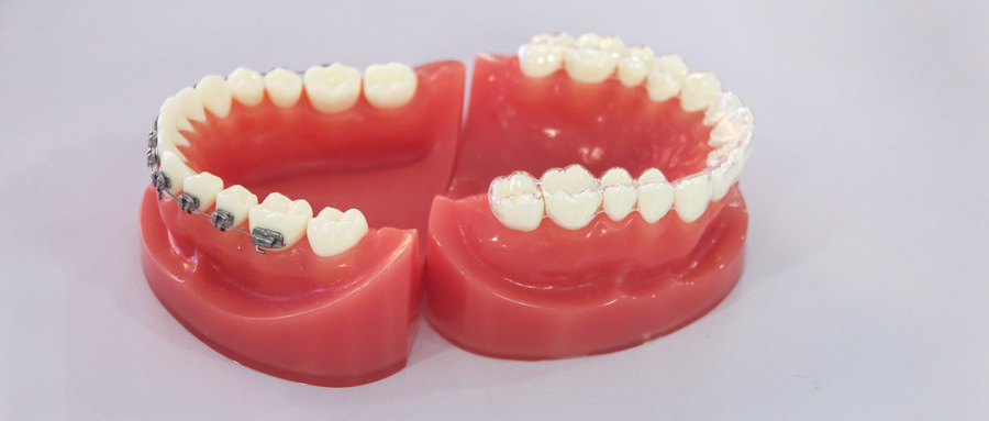 摄图网_501656356_wx_牙齿模型（企业商用）.jpg